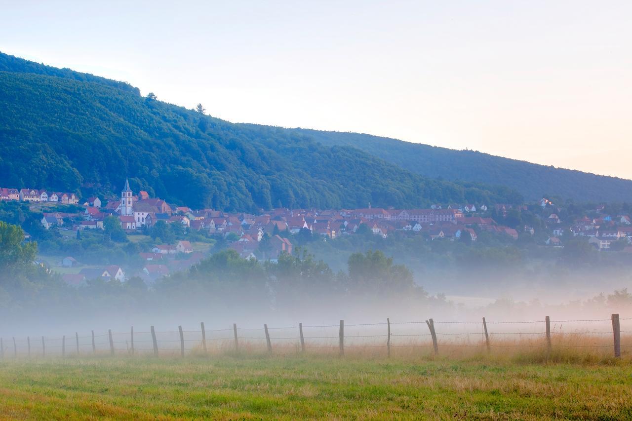 Hotellerie Du Couvent Oberbronn Экстерьер фото